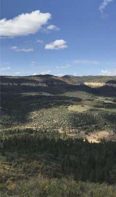 22 ACRES MILLET CYN, DUCK CREEK VILLAGE, UT 84762 - Image 1