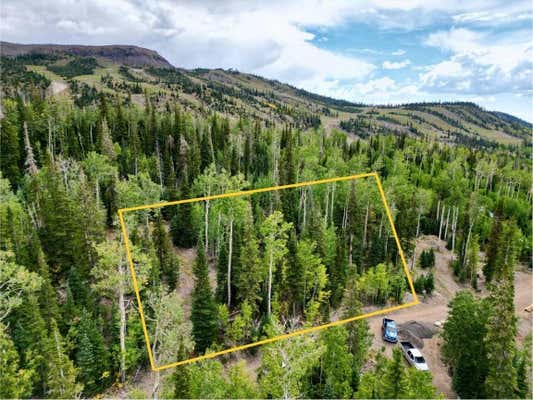 302 E SNOW SHOE DR, BRIAN HEAD, UT 84719 - Image 1