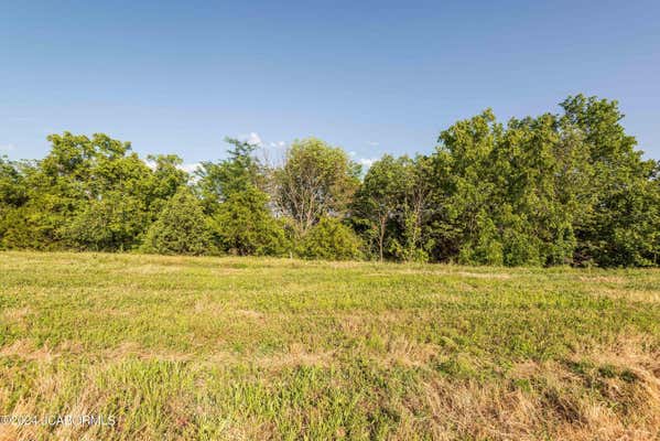 TBD LOT 19 CAPITAL VIEW ESTATES, HOLTS SUMMIT, MO 65043, photo 5 of 12