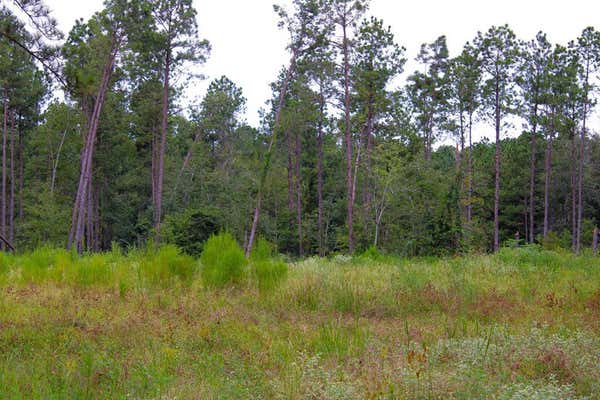 T-2 00 BEN DUNN ROAD, HUDSON, TX 75904, photo 4 of 4