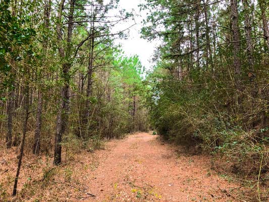 35 AC COUNTY ROAD 4415, WOODVILLE, TX 75979, photo 2 of 24