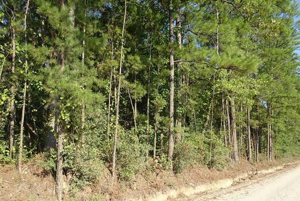 TRACT 04 N CEDAR RD., APPLE SPRINGS, TX 75929 - Image 1