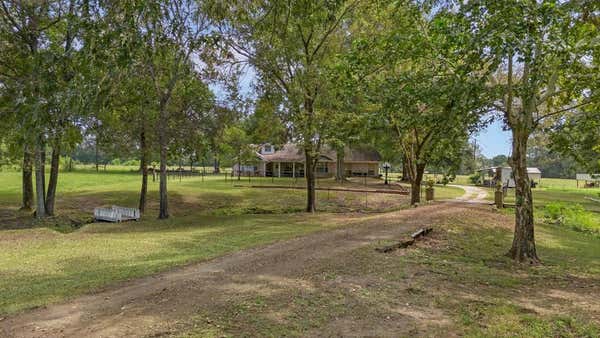 249 COUNTY ROAD 350, BROADDUS, TX 75929 - Image 1