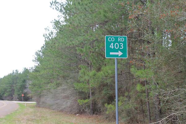 LOT 28 COUNTY ROAD 403, SAN AUGUSTINE, TX 75972, photo 2 of 6