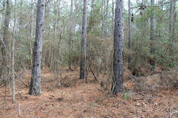 LOT 28 COUNTY ROAD 403, SAN AUGUSTINE, TX 75972, photo 5 of 6