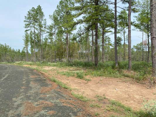 24633 LOT 20 FM 844, HUNTINGTON, TX 75949, photo 3 of 11