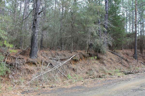 LOT 28 COUNTY ROAD 403, SAN AUGUSTINE, TX 75972, photo 4 of 6