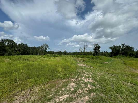 00 TIMBER RANCH ROAD, APPLE SPRINGS, TX 75901 - Image 1