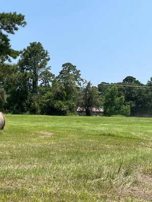 R37728 CAMPUS DRIVE, ZAVALLA, TX 75980, photo 2 of 6