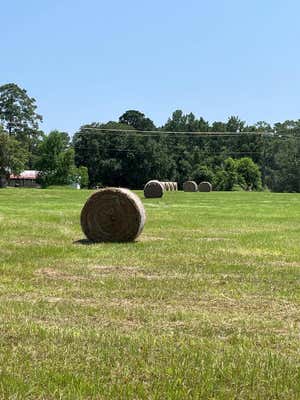 R37728 CAMPUS DRIVE, ZAVALLA, TX 75980, photo 3 of 6