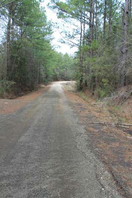 LOT 28 COUNTY ROAD 403, SAN AUGUSTINE, TX 75972 - Image 1