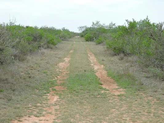 FM 1329 OUT OF AREA, SAN DIEGO, TX 78384, photo 3 of 15