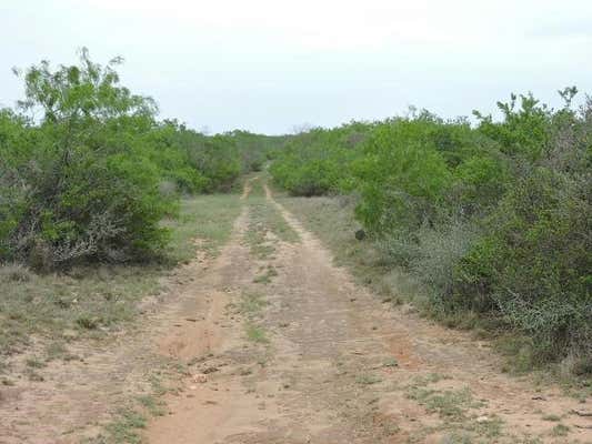 FM 1329 OUT OF AREA, SAN DIEGO, TX 78384, photo 4 of 15