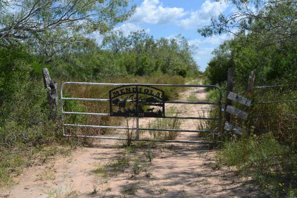 0000 TRACT 8, REALITOS, TX 78376 - Image 1