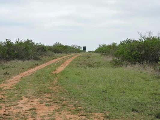 FM 1329 OUT OF AREA, SAN DIEGO, TX 78384, photo 2 of 15