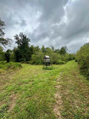 HWY 490 N/A, LOUISVILLE, MS 39339 - Image 1