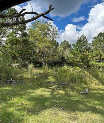 999 EUCUTTA SANDERSVILLE ROAD, RURAL WAYNE COUNTY, MS 39367 - Image 1