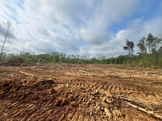 SALEM ROAD, FOREST, MS 39074, photo 3 of 12