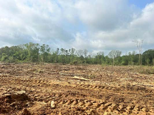 SALEM ROAD, FOREST, MS 39074, photo 4 of 12