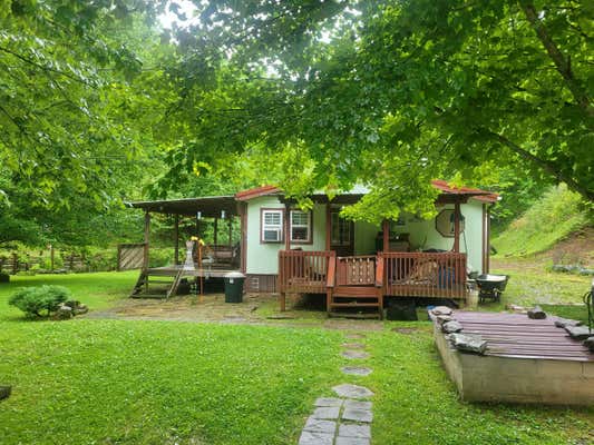 523 BULLSKIN BRANCH RD, ONEIDA, KY 40972 - Image 1