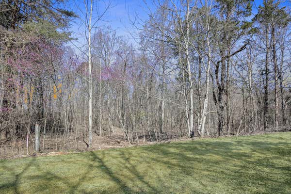 TRACT 4 CAMPBELL ROAD, RUSSELL SPRINGS, KY 42642, photo 2 of 7