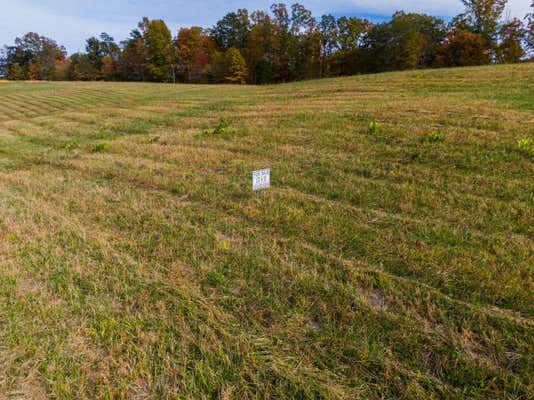 LOT 31 SPRING BRANCH HOLLOW ROAD, NANCY, KY 42544 - Image 1