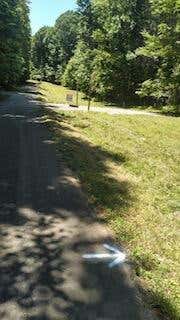 000 GOSSER RIDGE ROAD, RUSSELL SPRINGS, KY 42642 - Image 1