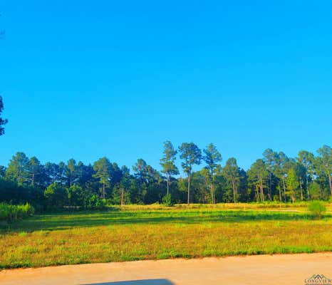 SOUTHERN PINES LOT 25, HALLSVILLE, TX 75650 - Image 1