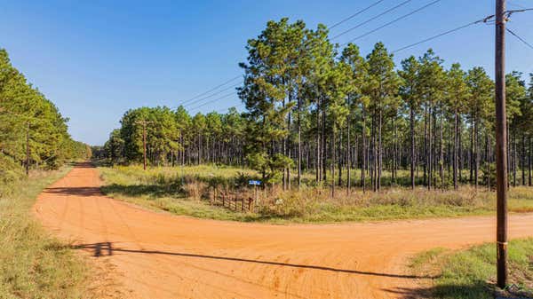 TBD WALDRONS FERRY TRACT #6, HALLSVILLE, TX 75650 - Image 1