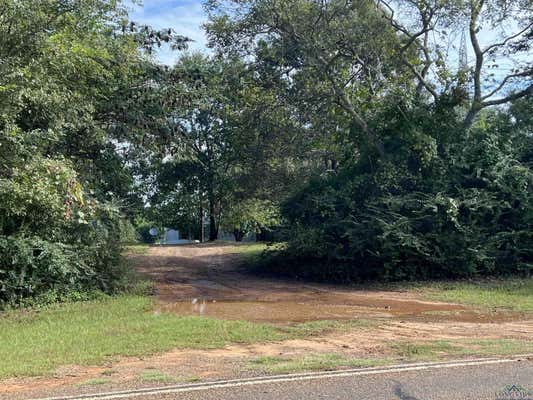 24033 FM 838 W, OVERTON, TX 75684 - Image 1