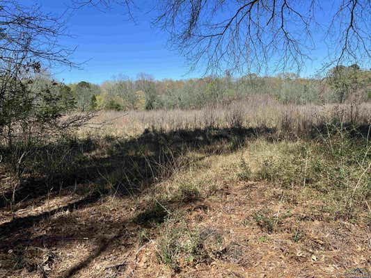 TBD CR 4670, TENAHA, TX 75974 - Image 1