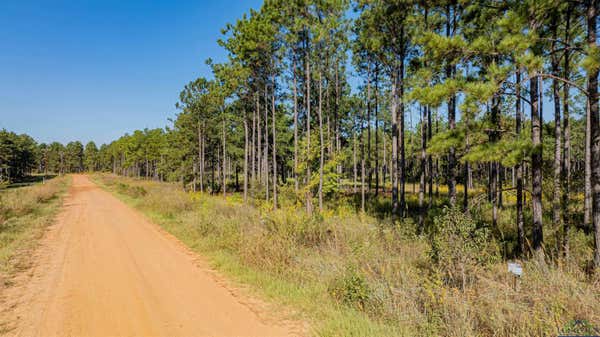 TBD WALDRONS FERRY TRACT #5, HALLSVILLE, TX 75650 - Image 1