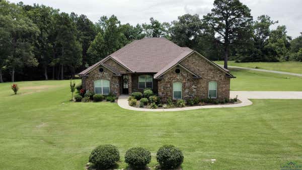 12163 US HIGHWAY 59 S, MARSHALL, TX 75672 - Image 1