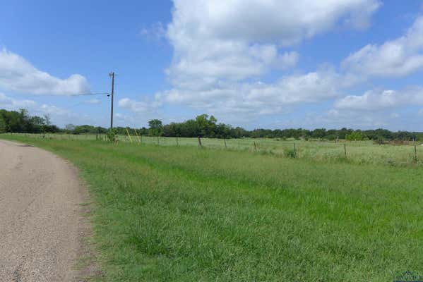 2529 CR 1013, MOUNT VERNON, TX 75457 - Image 1