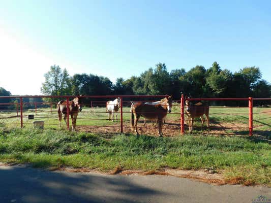 TBD DEER RD, GILMER, TX 75644, photo 2 of 21