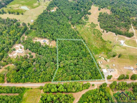 TBD FM 2088, WINNSBORO, TX 75686 - Image 1