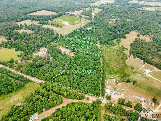 TBD FM 2088 AND WOODCHUCK ROAD, WINNSBORO, TX 75686 - Image 1