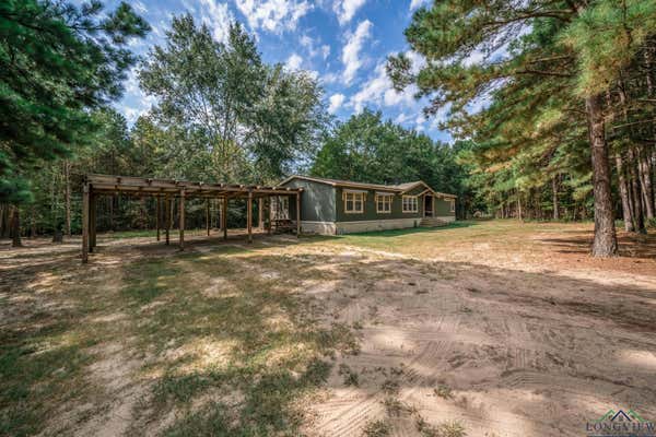 3617 ALMOND RD, BIG SANDY, TX 75755 - Image 1