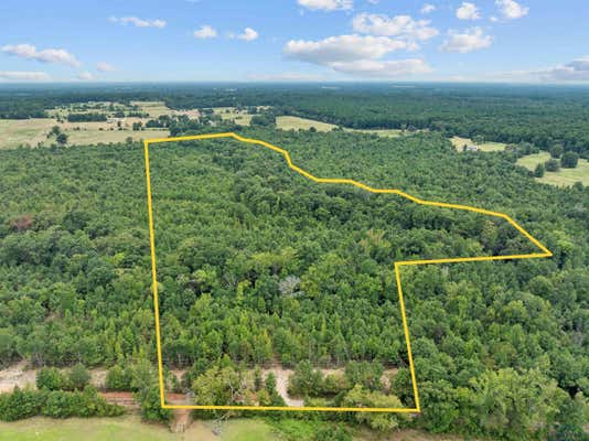 TBD MISTLETOE ROAD LOT 16, GILMER, TX 75644 - Image 1