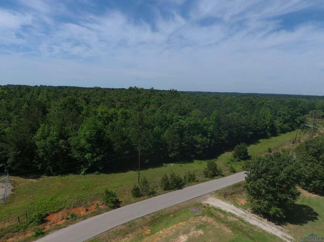 TBD DEERFIELD LAKE CIRCLE LOT 60, LONGVIEW, TX 75650, photo 1 of 2