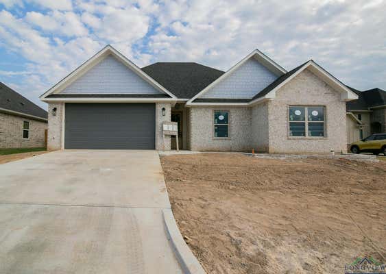 113 PINTAIL LN, HALLSVILLE, TX 75650 - Image 1