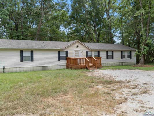 8956 BRANT RD, DIANA, TX 75640 - Image 1