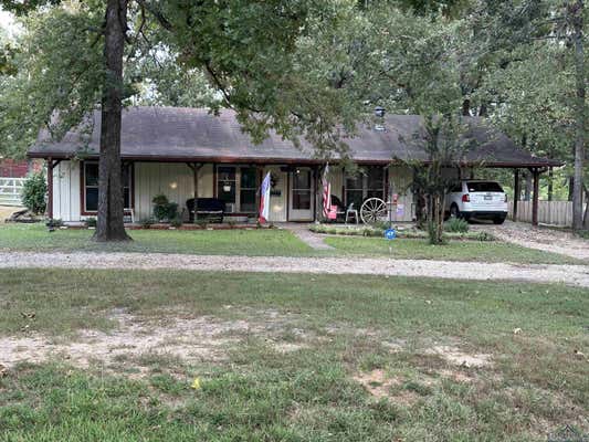 1141 1ST RD, NEW DIANA, TX 75640 - Image 1