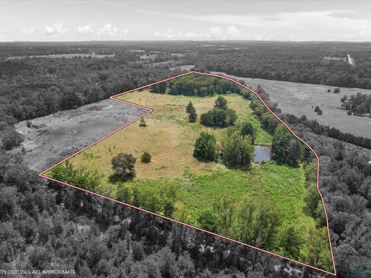 TBD OCELOT RD, GILMER, TX 75644 - Image 1