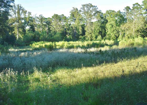 TBD NOONDAY RD, HALLSVILLE, TX 75650, photo 2 of 17