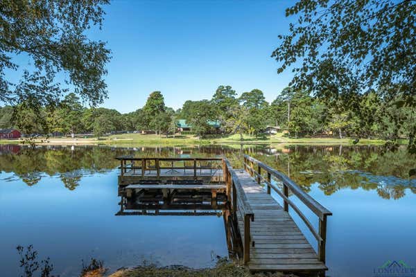 167 BLUE WATER PT, HOLLY LAKE RANCH, TX 75765 - Image 1