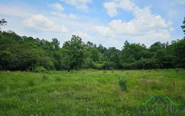 TBD N FLOYD ROAD, GILMER, TX 75644 - Image 1