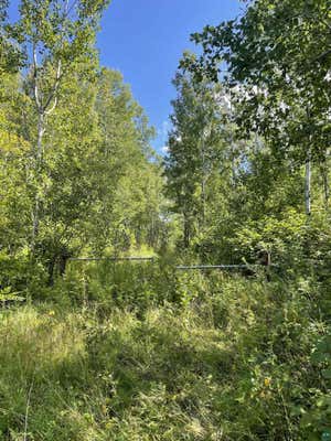 38XX HYTTEN ACRES TR, DULUTH, MN 55803 - Image 1