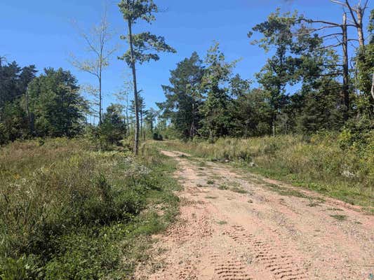 LOT 2 PETERSON HILL RD, BAYFIELD, WI 54814 - Image 1