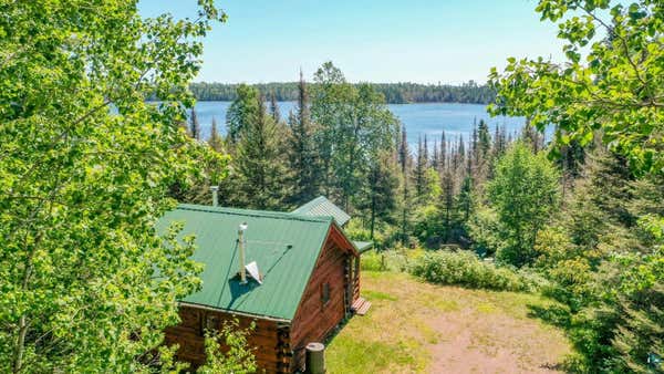 256 CARLSON TRL, LUTSEN, MN 55612 - Image 1